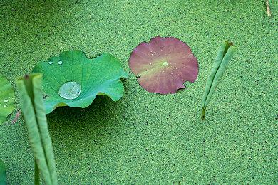 国产心理恐怖《白河村》Steam多半好评 售价38.25元